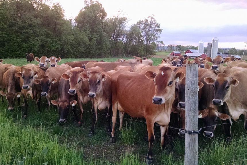 IMG 20150512 200334433