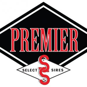 Premier Logo R2