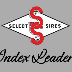 index leaders