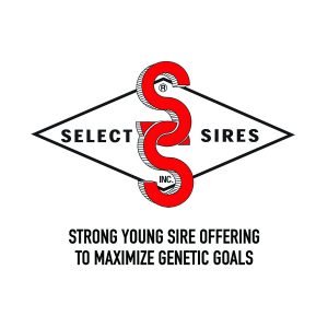 Strong Young Sire Offering to Maximize Genetic Goals