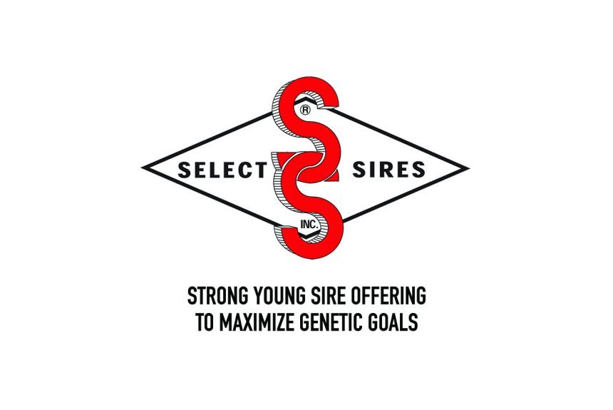 Strong Young Sire Offering to Maximize Genetic Goals