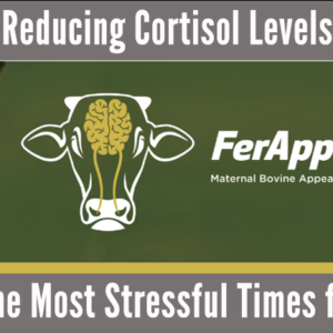 FerAppease®:Reducing Cortisol Levels During the Most Stressful Times for Cattle