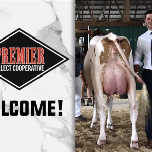 Daniel Kitchen Joins Premier as Area Sales Manager