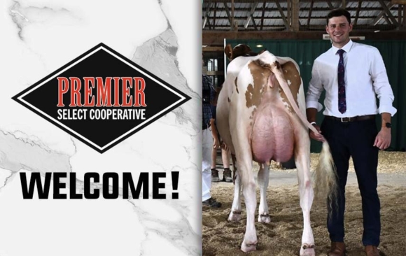 Screenshot Daniel Kitchen Joins Premier as Area Sales Manager