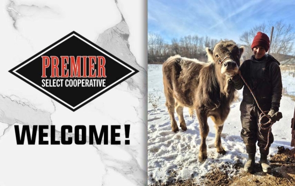 Screenshot Taylor Clark Joins Premier as Reproductive Services Specialist