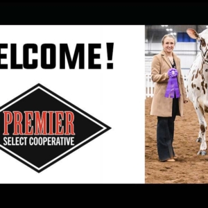 Screenshot Mulligan Palmerton Joins Premier as Sales Support Specialist