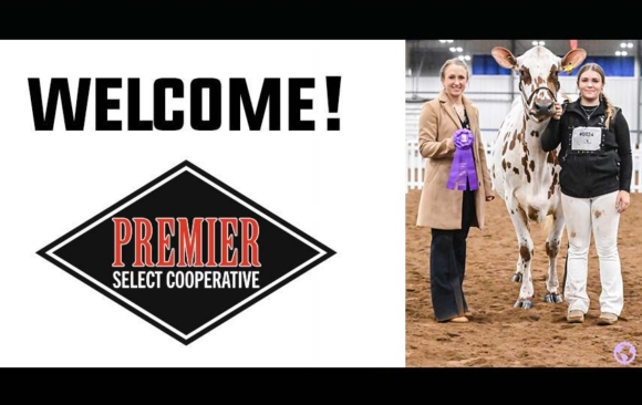Mulligan Palmerton Joins Premier as Sales Support Specialist