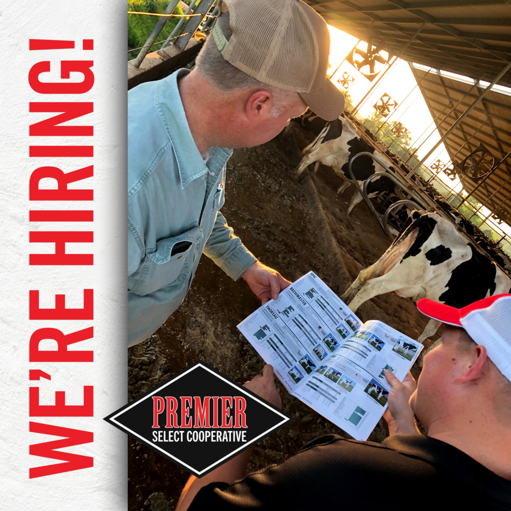 Area Sales Manager - Western New York