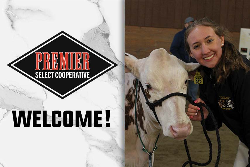 Screenshot Lauren Ross Joins Premier as Intern