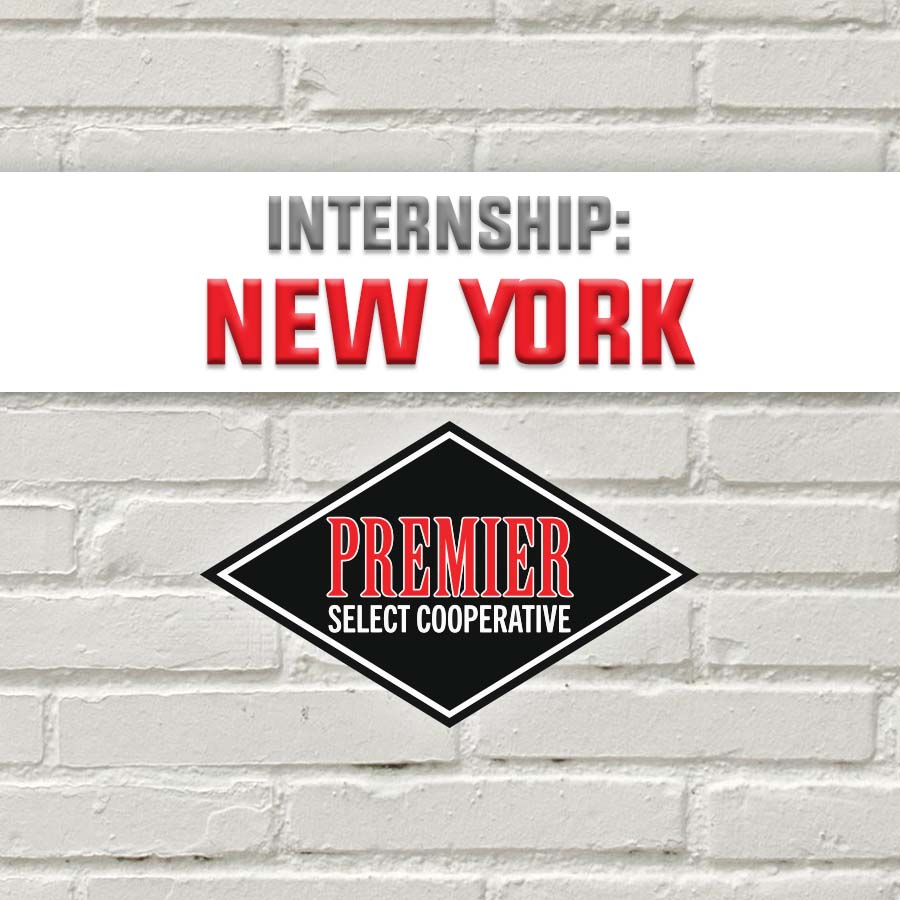 Cover image NY Internship – New York