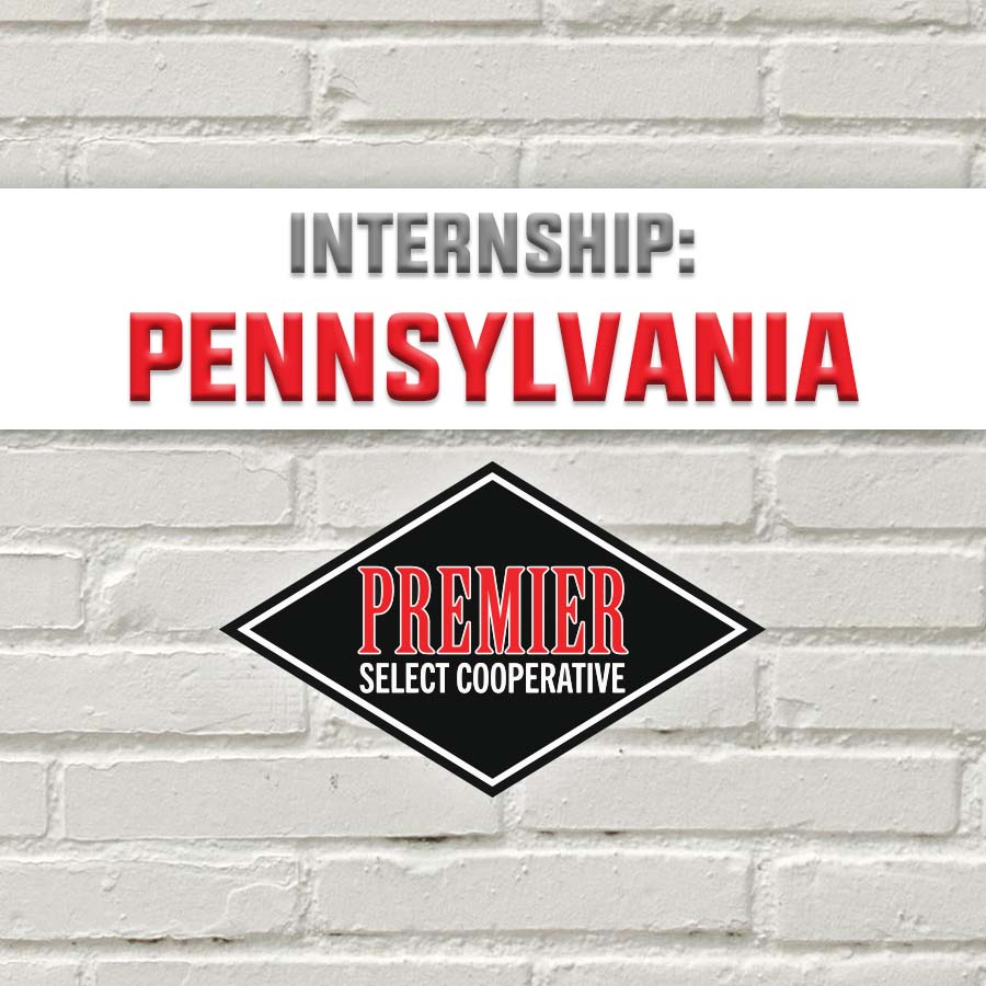 Cover Image PA Internship – Pennsylvania